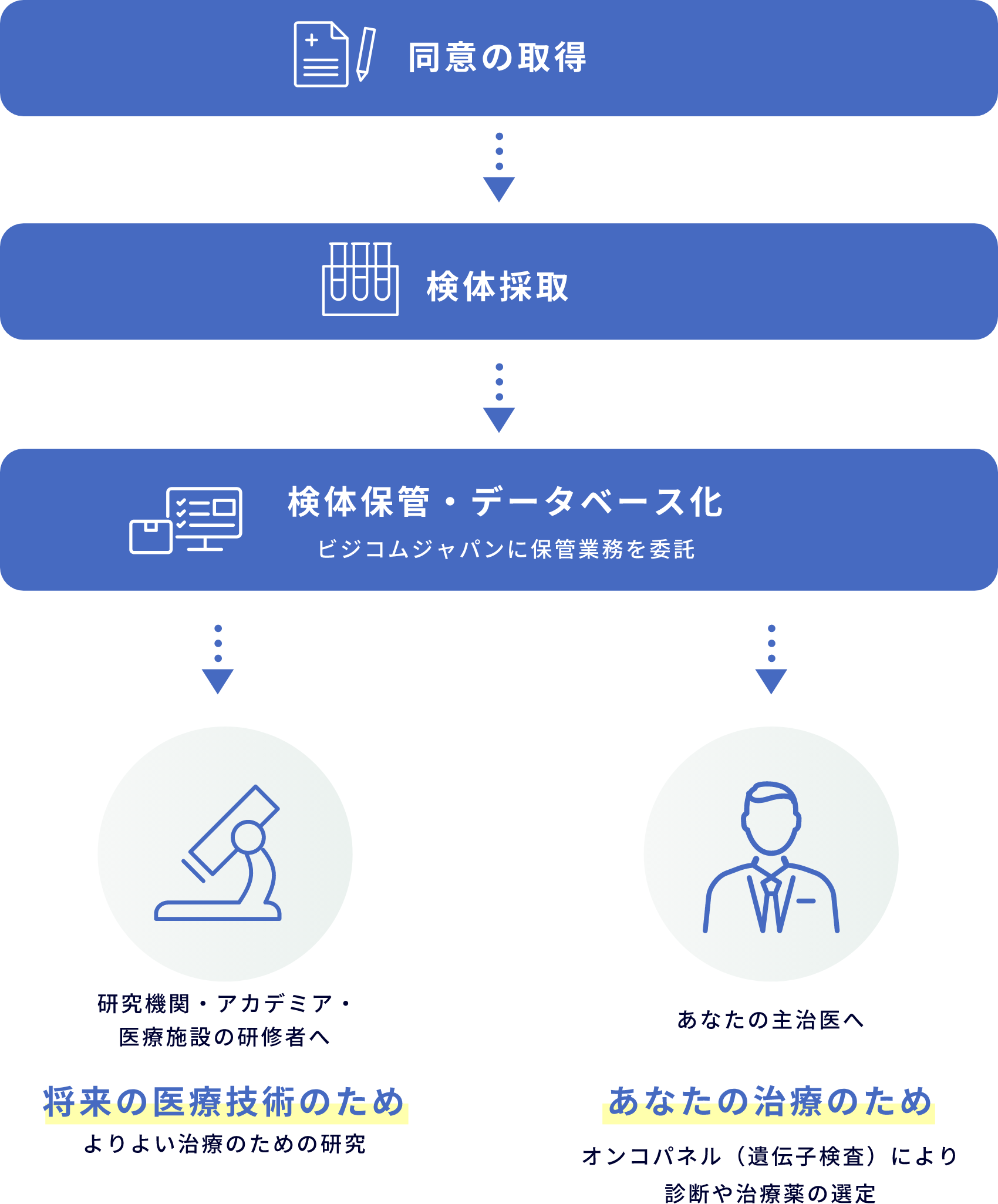 バイオバンクの流れを説明する図