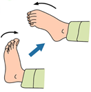 足首の底背屈運動