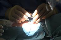 手術の様子1枚目