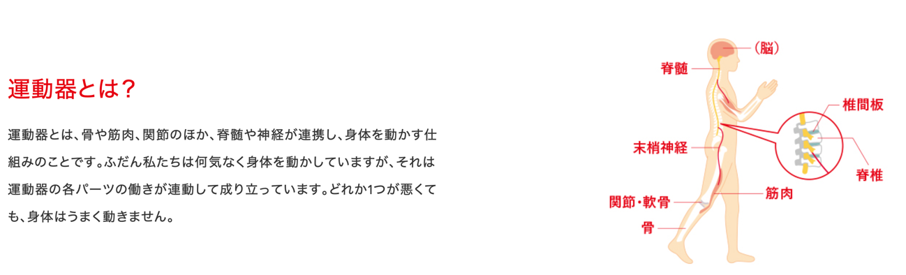 運動器とは？