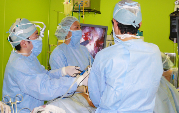 胸腔鏡下手術風景