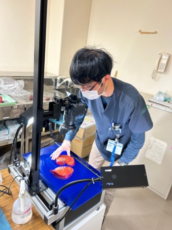 新鮮切除検体の観察と検体採取