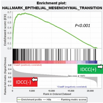 IDCCの有無はEMTと関連