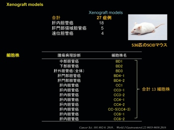 多数の胆管がんバイオリソースの樹立