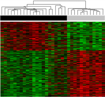 遺伝子発現に基づく分類