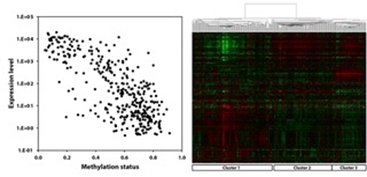 オミックスデータに基づくサブタイプ分類