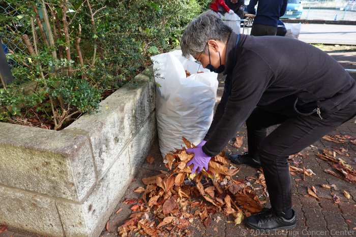 落ち葉清掃の様子2