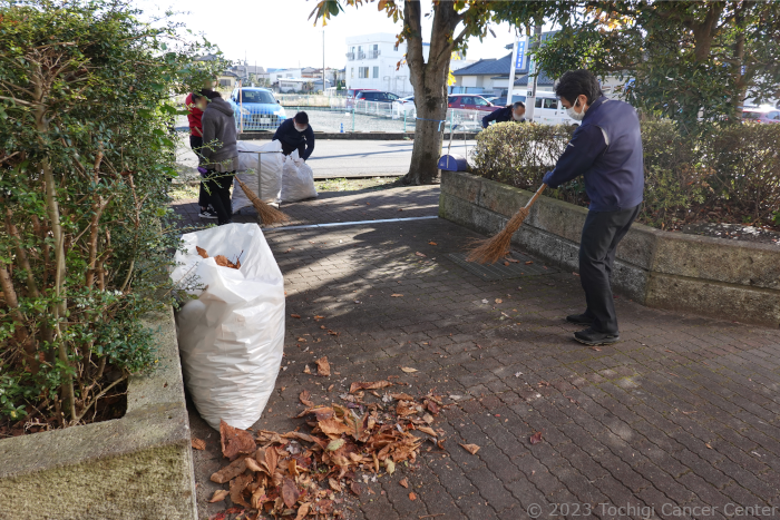 落ち葉清掃の様子1