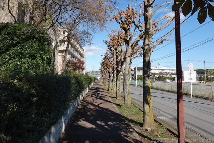 清掃後の病院周辺の画像